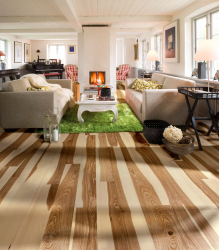 Como usar o parquet no interior? Como escolher? 305+ (fotos) de desenhos espetaculares (arte, espinha de peixe, modular)