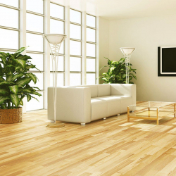Como usar o parquet no interior? Como escolher? 305+ (fotos) de desenhos espetaculares (arte, espinha de peixe, modular)