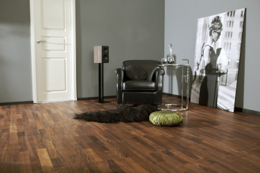 Como usar o parquet no interior? Como escolher? 305+ (fotos) de desenhos espetaculares (arte, espinha de peixe, modular)