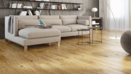 Como usar o parquet no interior? Como escolher? 305+ (fotos) de desenhos espetaculares (arte, espinha de peixe, modular)