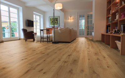 Como usar o parquet no interior? Como escolher? 305+ (fotos) de desenhos espetaculares (arte, espinha de peixe, modular)