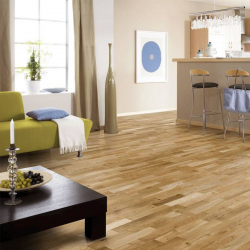 Como usar o parquet no interior? Como escolher? 305+ (fotos) de desenhos espetaculares (arte, espinha de peixe, modular)