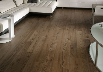Como usar o parquet no interior? Como escolher? 305+ (fotos) de desenhos espetaculares (arte, espinha de peixe, modular)