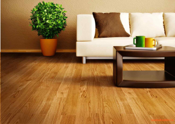 Como usar o parquet no interior? Como escolher? 305+ (fotos) de desenhos espetaculares (arte, espinha de peixe, modular)