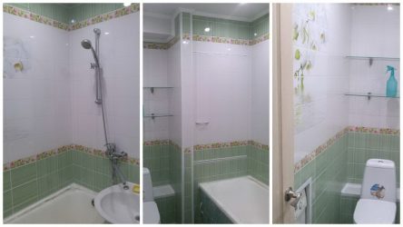 Projetar e terminar o banheiro com painéis de plástico 110+ Foto - maneira rápida e barata de decoração
