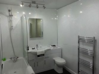 Projetar e terminar o banheiro com painéis de plástico 110+ Foto - maneira rápida e barata de decoração