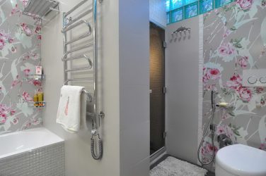 Projetar e terminar o banheiro com painéis de plástico 110+ Foto - maneira rápida e barata de decoração
