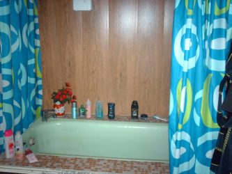 Projetar e terminar o banheiro com painéis de plástico 110+ Foto - maneira rápida e barata de decoração
