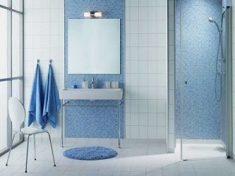 Projetar e terminar o banheiro com painéis de plástico 110+ Foto - maneira rápida e barata de decoração