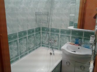 Projetar e terminar o banheiro com painéis de plástico 110+ Foto - maneira rápida e barata de decoração