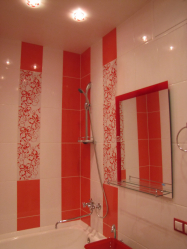 Projetar e terminar o banheiro com painéis de plástico 110+ Foto - maneira rápida e barata de decoração