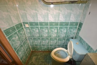 Projetar e terminar o banheiro com painéis de plástico 110+ Foto - maneira rápida e barata de decoração