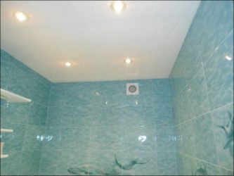 Projetar e terminar o banheiro com painéis de plástico 110+ Foto - maneira rápida e barata de decoração