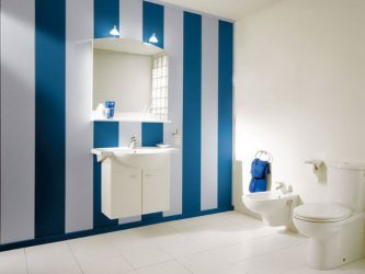 Projetar e terminar o banheiro com painéis de plástico 110+ Foto - maneira rápida e barata de decoração