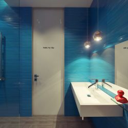 Projetar e terminar o banheiro com painéis de plástico 110+ Foto - maneira rápida e barata de decoração