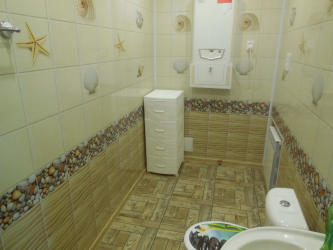 Projetar e terminar o banheiro com painéis de plástico 110+ Foto - maneira rápida e barata de decoração