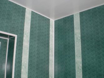Projetar e terminar o banheiro com painéis de plástico 110+ Foto - maneira rápida e barata de decoração