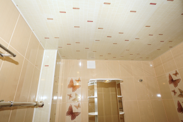 Projetar e terminar o banheiro com painéis de plástico 110+ Foto - maneira rápida e barata de decoração
