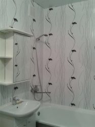 Projetar e terminar o banheiro com painéis de plástico 110+ Foto - maneira rápida e barata de decoração