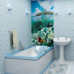 Projetar e terminar o banheiro com painéis de plástico 110+ Foto - maneira rápida e barata de decoração