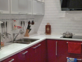 Porco no interior: Características e formas de colocação (avental de cozinha, piso, banheiro, paredes). Qual é o segredo da popularidade? (120 + fotos)