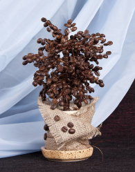 O artesanato mais incomum e interessante de café e grãos de café para 5+. Oficinas fáceis para iniciantes passo a passo (130 + foto)