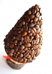 O artesanato mais incomum e interessante de café e grãos de café para 5+. Oficinas fáceis para iniciantes passo a passo (130 + foto)