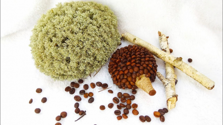 O artesanato mais incomum e interessante de café e grãos de café para 5+. Oficinas fáceis para iniciantes passo a passo (130 + foto)