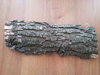 Artesanato de material natural com as próprias mãos (+185 Foto). Seu filho pode fazer isso!
