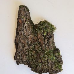 Artesanato de material natural com as próprias mãos (+185 Foto). Seu filho pode fazer isso!