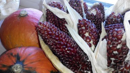 Artesanato de material natural com as próprias mãos (+185 Foto). Seu filho pode fazer isso!