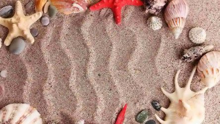 Artesanato de material natural com as próprias mãos (+185 Foto). Seu filho pode fazer isso!