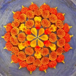 Artesanato de material natural com as próprias mãos (+185 Foto). Seu filho pode fazer isso!