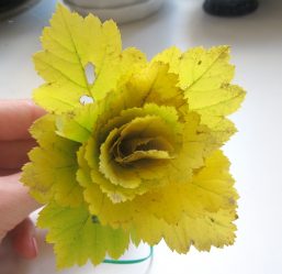 Artesanato de material natural com as próprias mãos (+185 Foto). Seu filho pode fazer isso!