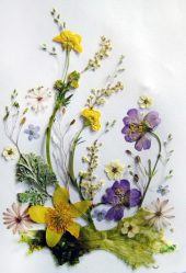 Artesanato de material natural com as próprias mãos (+185 Foto). Seu filho pode fazer isso!