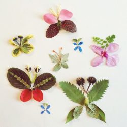 Artesanato de material natural com as próprias mãos (+185 Foto). Seu filho pode fazer isso!