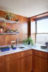 Como fazer prateleiras no interior da sala com as próprias mãos? (230+ fotos) Uma seleção de ideias bonitas e modernas