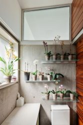 Como fazer prateleiras no interior da sala com as próprias mãos? (230+ fotos) Uma seleção de ideias bonitas e modernas