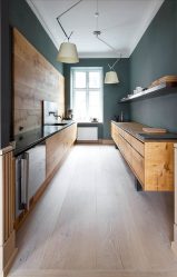 Qual é o melhor teto da cozinha? 180+ Fotos As opções mais modernas