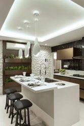 Qual é o melhor teto da cozinha? 180+ Fotos As opções mais modernas