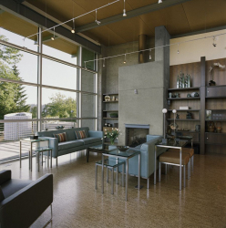 Qual é o piso de cortiça no interior? 100+ (foto) solução bem sucedida. Por que escolher ele?