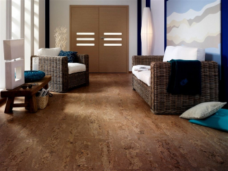 Qual é o piso de cortiça no interior? 100+ (foto) solução bem sucedida. Por que escolher ele?