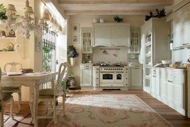 Estilo de Provence em um interior moderno: 335+ Fotos de belos desenhos para os românticos e conhecedores da França (no corredor / sala / cozinha)