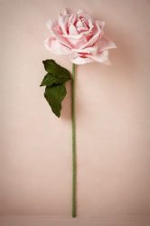Como fazer rosas de papel com as próprias mãos: Instruções passo a passo para iniciantes (mais de 190 fotos)