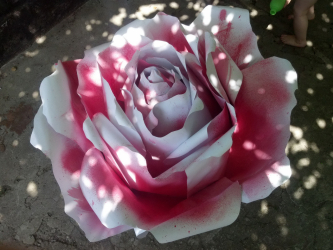 Como fazer rosas de papel com as próprias mãos: Instruções passo a passo para iniciantes (mais de 190 fotos)