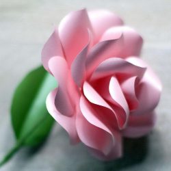 Como fazer rosas de papel com as próprias mãos: Instruções passo a passo para iniciantes (mais de 190 fotos)