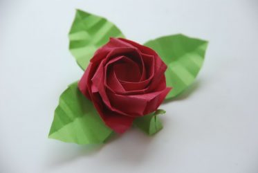 Como fazer rosas de papel com as próprias mãos: Instruções passo a passo para iniciantes (mais de 190 fotos)