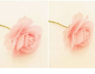 Como fazer rosas de papel com as próprias mãos: Instruções passo a passo para iniciantes (mais de 190 fotos)