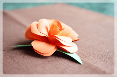 Como fazer rosas de papel com as próprias mãos: Instruções passo a passo para iniciantes (mais de 190 fotos)