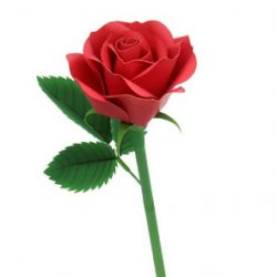 Como fazer rosas de papel com as próprias mãos: Instruções passo a passo para iniciantes (mais de 190 fotos)